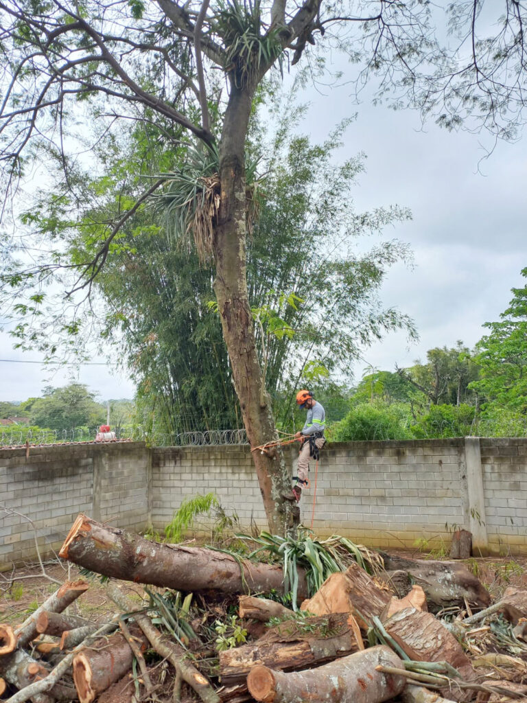 Arboricultura G